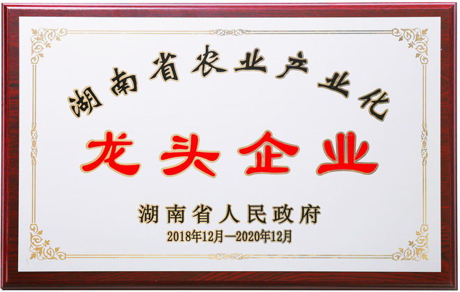 關(guān)于聰廚